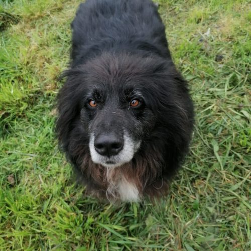 CHICO